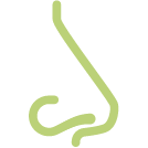 Icon für Nase und Nasennebenhöhlen